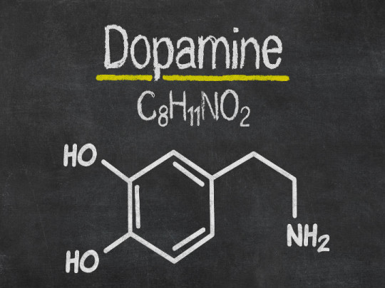 Lee más sobre el artículo Dopamina y adicciones
