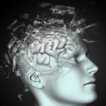 Cómo se comporta el cerebro adicto