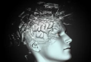 Cómo se comporta el cerebro del adicto