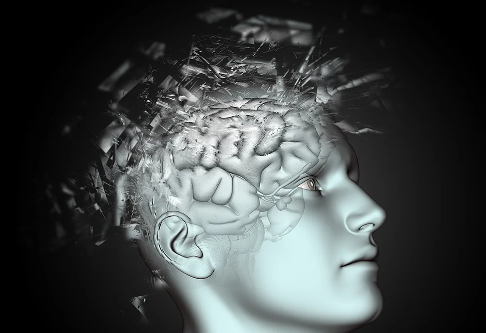 Lee más sobre el artículo Cómo se comporta el cerebro adicto