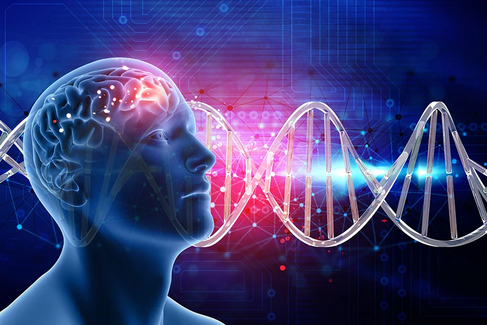 En este momento estás viendo La dopamina y su papel clave en las adicciones: Cómo afecta al cerebro